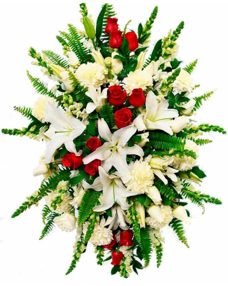 Palma fúnebre para tanatorio la paz en tres cantos