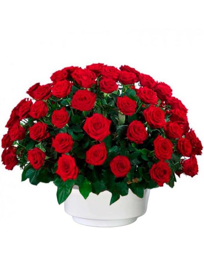 Floristería tanatorio M30