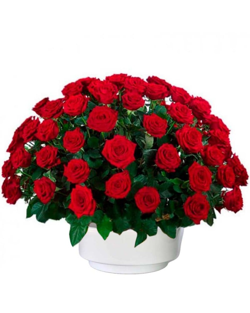 Floristería tanatorio M30