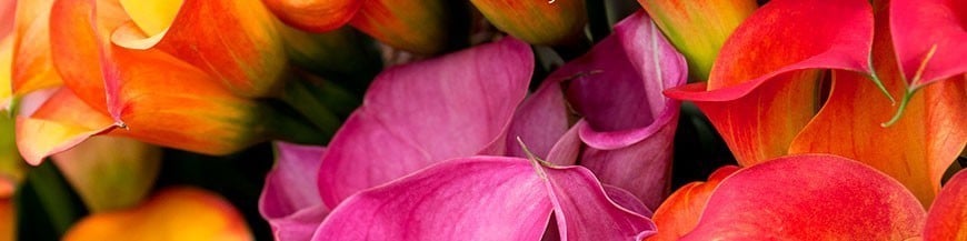 Envío de ramos de flores para funerales en el tanatorio M40 de Madrid.