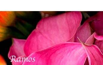 Ramos de flores para funeral